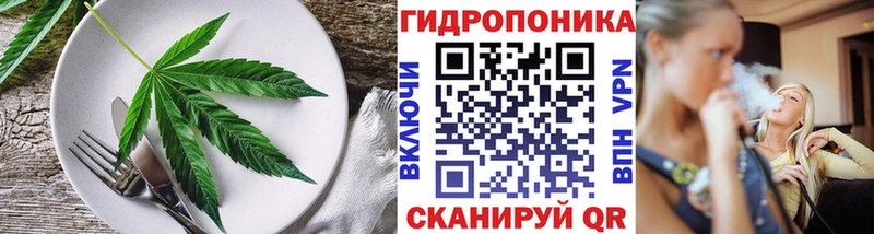 купить наркотики сайты  Саров  Еда ТГК конопля 