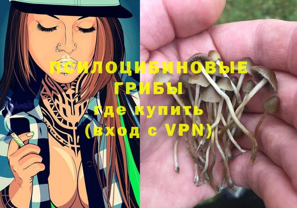гидропоника Алзамай
